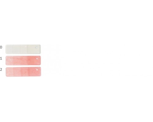 EVIDSUN DENT 100 г